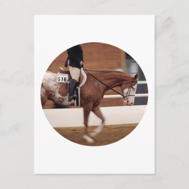 Carte Postale équitation anglaise (Devant)