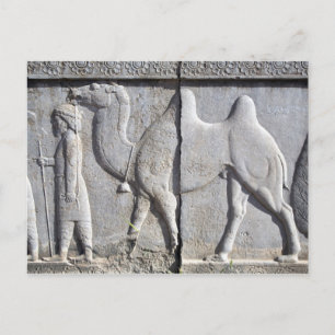 Carte postale Era Fresco Persépolis, Iran