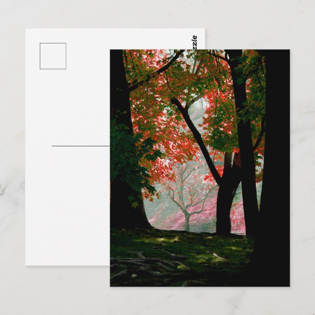 Carte Postale Érable (Devant / Derrière)