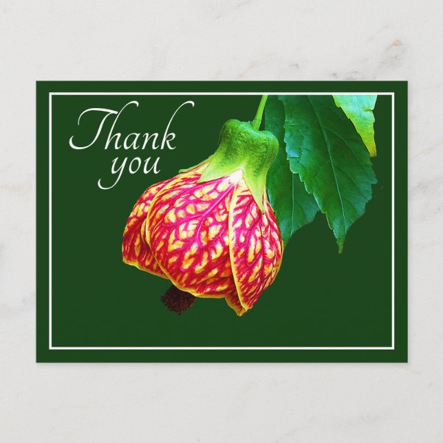 Carte Postale Érable en Fleur Fond Vert Merci (Devant)