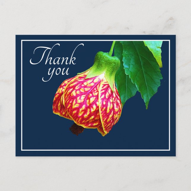 Carte Postale Érable en Fleurs Fond Bleu Merci (Devant)