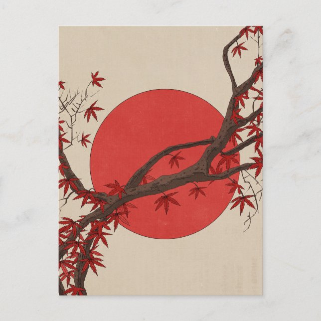 Carte Postale Érable japonais (Devant)