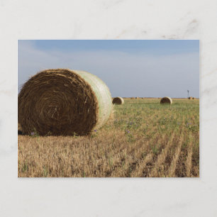 Carte Postale Erick, Oklahoma, USA - Route 66