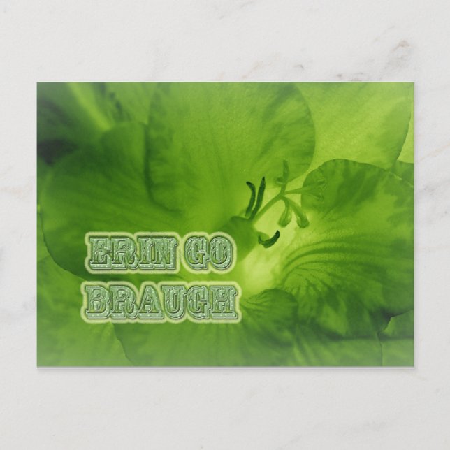 Carte Postale Erin Go Braugh Green Freesia Articles (Devant)