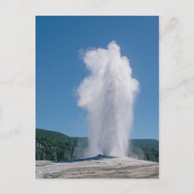 Carte Postale Éruption de la vieille foi à Yellowstone (Devant)