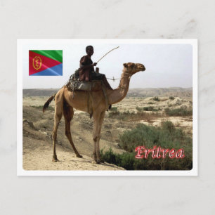 Carte Postale Érythrée - Camel -