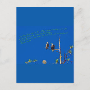 Carte Postale Ésaïe 40:31