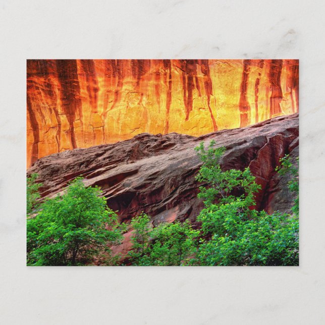 Carte Postale Escalante Neon Canyon et Foliage | Utah (Devant)