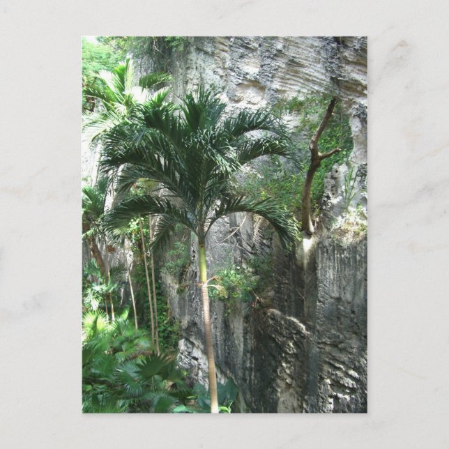 Carte Postale Escalier de la Reine (Devant)