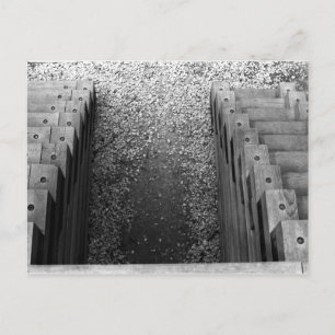 Carte Postale Escalier Duel