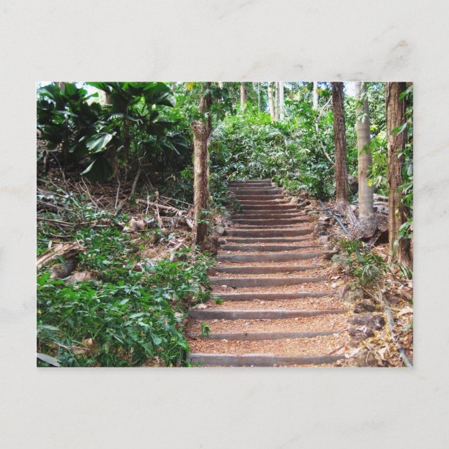Carte Postale Escaliers dans leur habitat naturel (Devant)