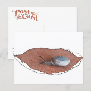 Carte Postale Escargot sous matériau déchiré