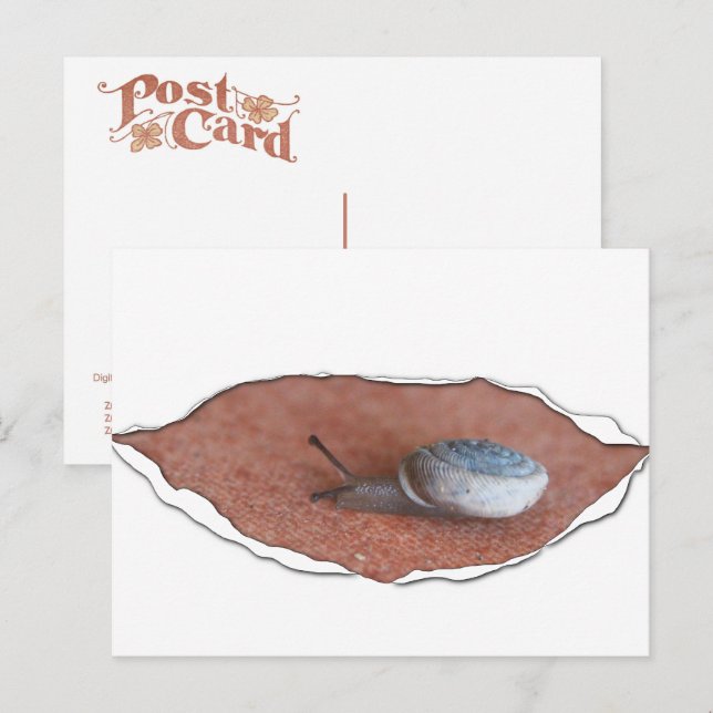 Carte Postale Escargot sous matériau déchiré (Devant / Derrière)