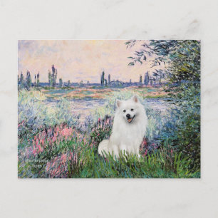 Carte Postale Eskimo Spitz 1 - Au bord de la Seine