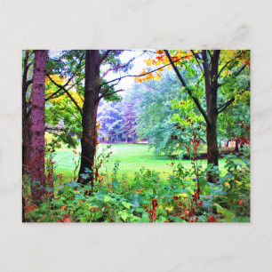 Carte Postale Espace Vert Arbres Nature Prairie Brumeuse