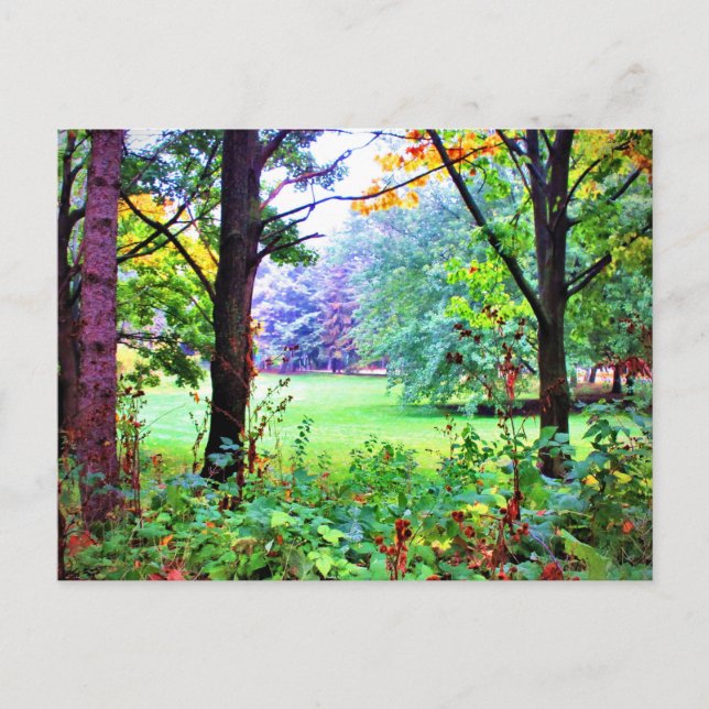 Carte Postale Espace Vert Arbres Nature Prairie Brumeuse (Devant)