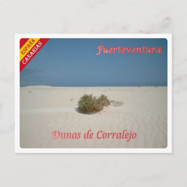 Carte Postale Espagne - Îles Canaries - Fuerteventura - (Devant)