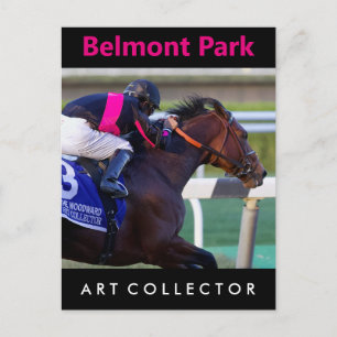 Carte Postale Espèce Collector & Saez