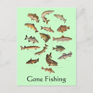 Carte postale Espèces de poisson "Gallié Fishing"