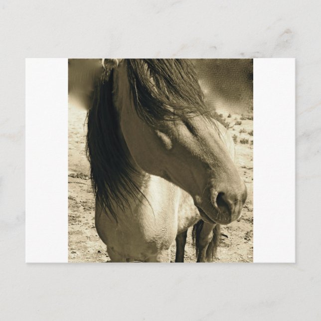 Carte Postale Esprit (Devant)