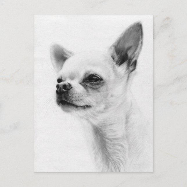 Carte Postale Esprit Fier - Peinture à la main Chihuahua (Devant)