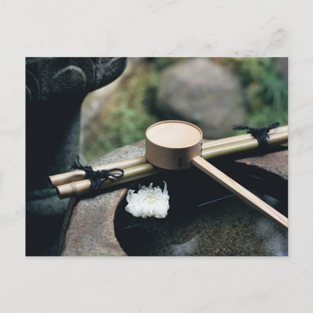 Carte postale - esprit tranquille (Devant)