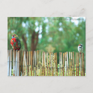 Carte Postale Esprits différents