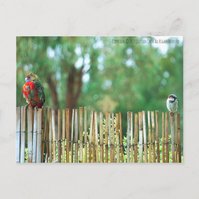 Carte Postale Esprits différents (Devant)