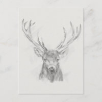 Esquisse d'Elk contemporaine