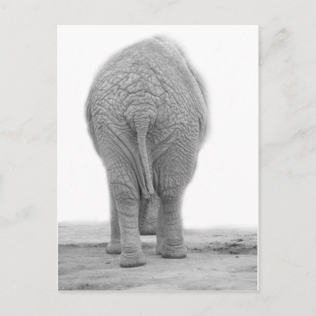 Carte Postale Est-ce que mon cul est gros (Devant)