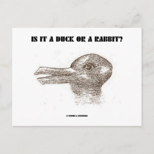 Carte Postale Est-Ce Un Canard Ou Un Lapin ? (Illusion optique)