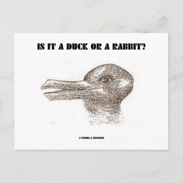 Carte Postale Est-Ce Un Canard Ou Un Lapin ? (Illusion optique) (Devant)