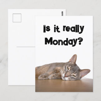 Carte Postale Est-Ce Vraiment Lundi ? Mème de chat Abyssinien dr