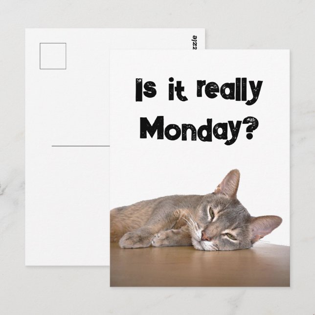 Carte Postale Est-Ce Vraiment Lundi ? Mème de chat Abyssinien dr (Devant / Derrière)