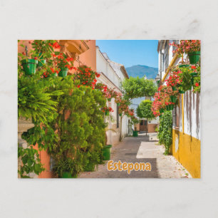 Carte Postale Estepona, Espagne Ville charmante dans la rue de M