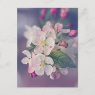 Carte postale esthétique Boho 018