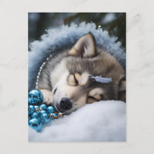 Carte Postale Et à tous une bonne nuit