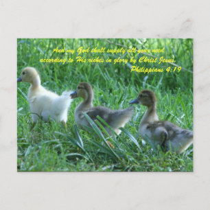 Carte Postale Et mon Dieu pourvoira à tous vos besoins selon