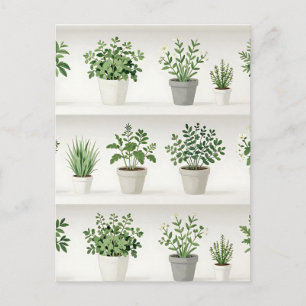 Carte Postale Étagère de plantes en pot à l'aquarelle