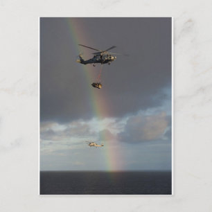 Carte Postale Étalon de mer