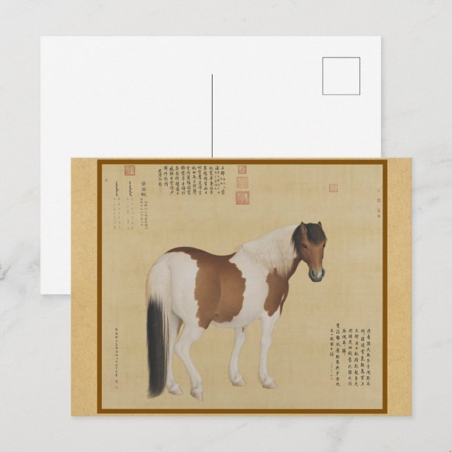 Carte Postale Étalon Tacheté Noble - Impression Traditionnelle e (Devant / Derrière)