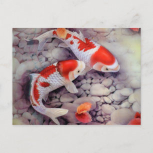Carte Postale Étang de poissons Koi rouge et blanc