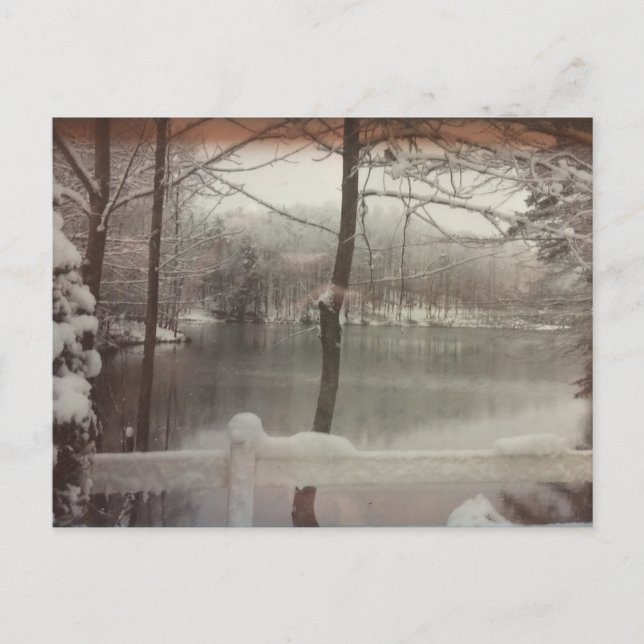 Carte Postale Étang d'hiver (Devant)