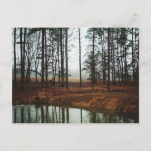 Carte Postale Étang rustique
