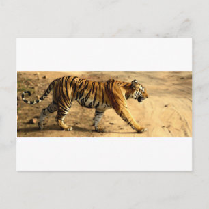 Carte Postale Étapes Hi-Res