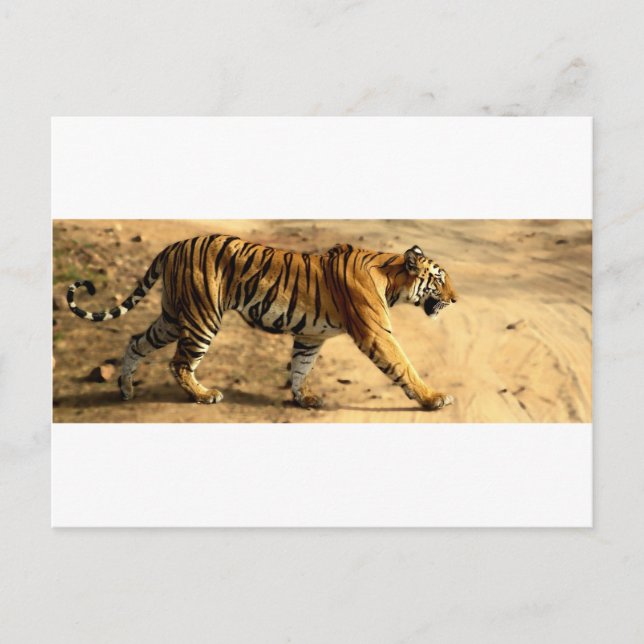 Carte Postale Étapes Hi-Res (Devant)