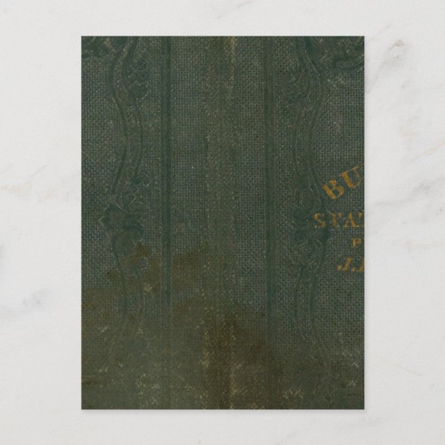 Carte Postale État de New York par DH Burr 2 (Devant)