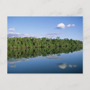 Carte Postale Etat du Mato Grosso, Amazon, Brésil. Forestier