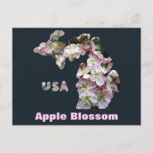 État du Michigan et fleurs d'Apple