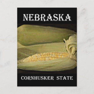 Carte Postale État du Nebraska Cornhusker